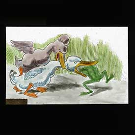 Die-beiden-Enten