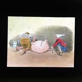 Schwein