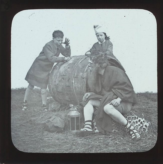 The Elephants Revenge