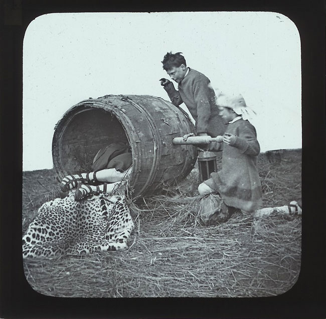 The Elephants Revenge