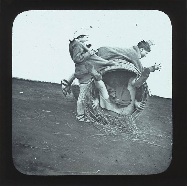 The Elephants Revenge