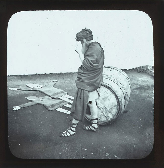 The Elephants Revenge