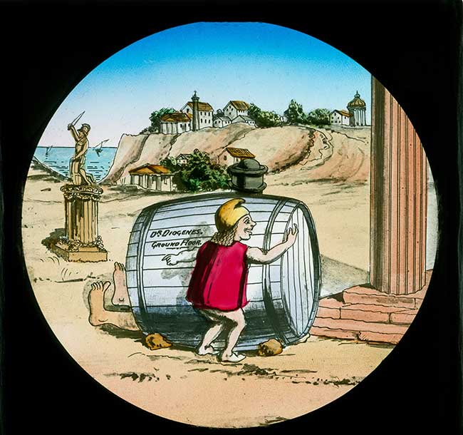 The Elephants Revenge