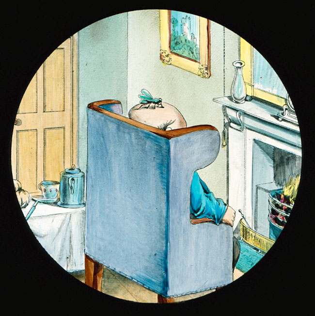 Dr Snoozum and the Fly