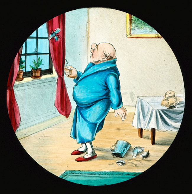 Dr Snoozum and the Fly