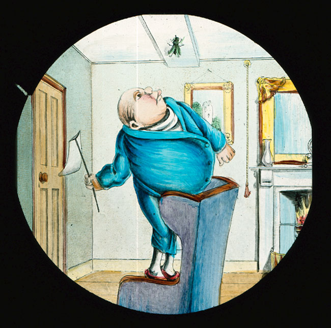 Dr Snoozum and the Fly