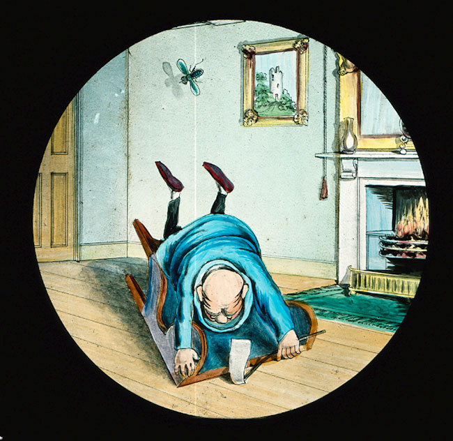 Dr Snoozum and the Fly