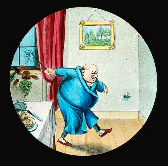 Dr Snoozum and the Fly