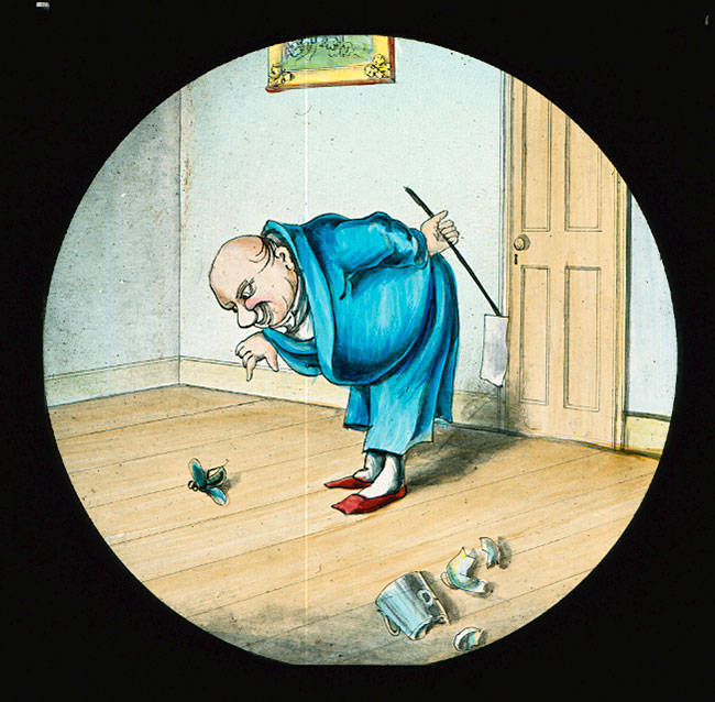 Dr Snoozum and the Fly