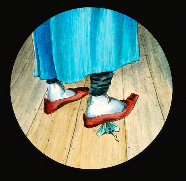 Dr Snoozum and the Fly