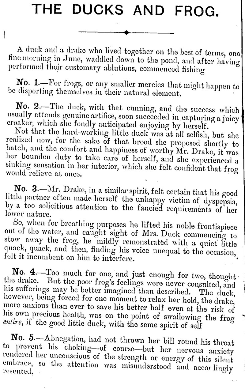 Duck and Frog Reading