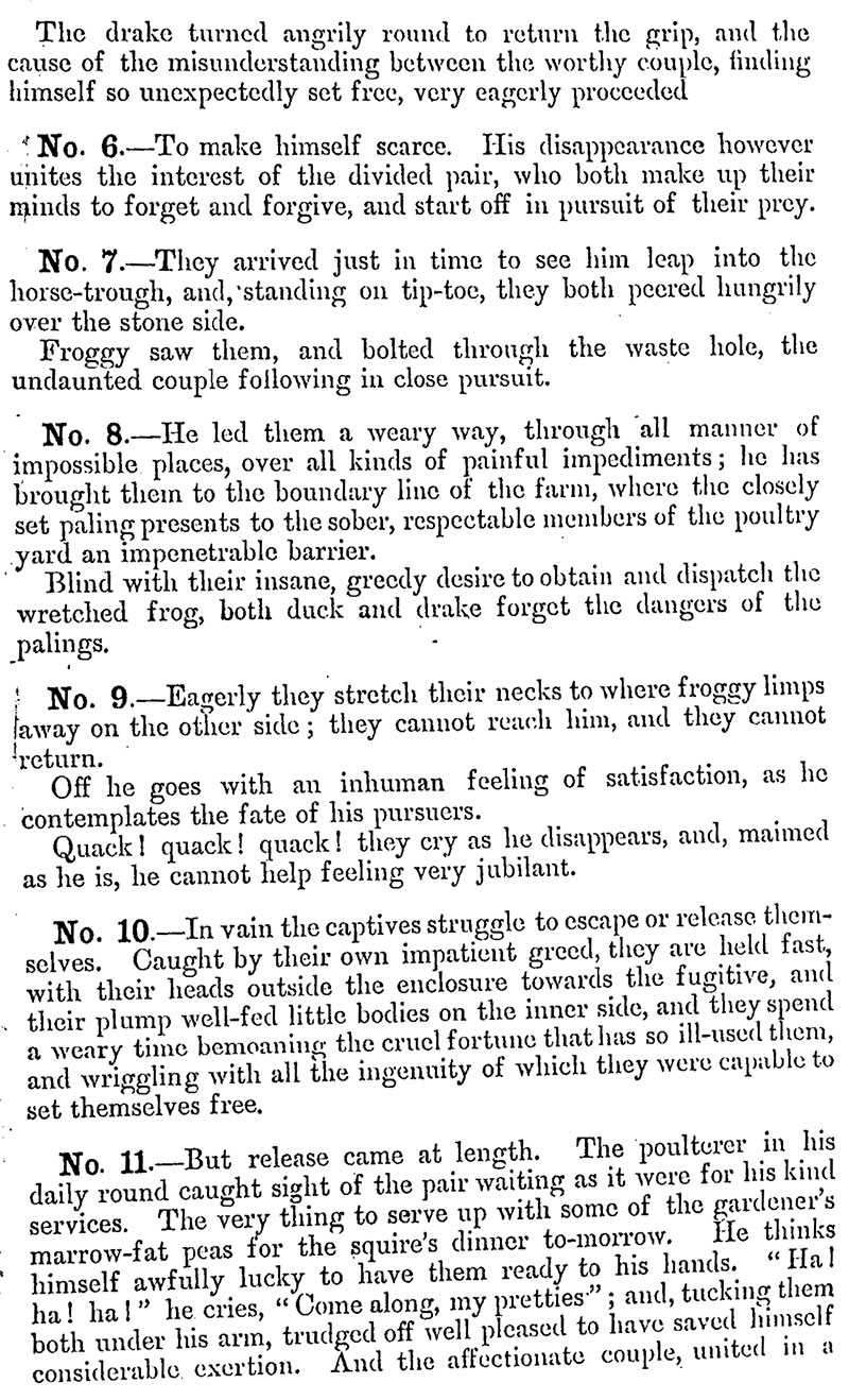 Duck and Frog Reading