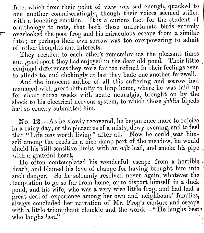 Duck and Frog Reading