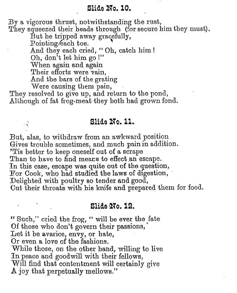 Duck and Frog Reading