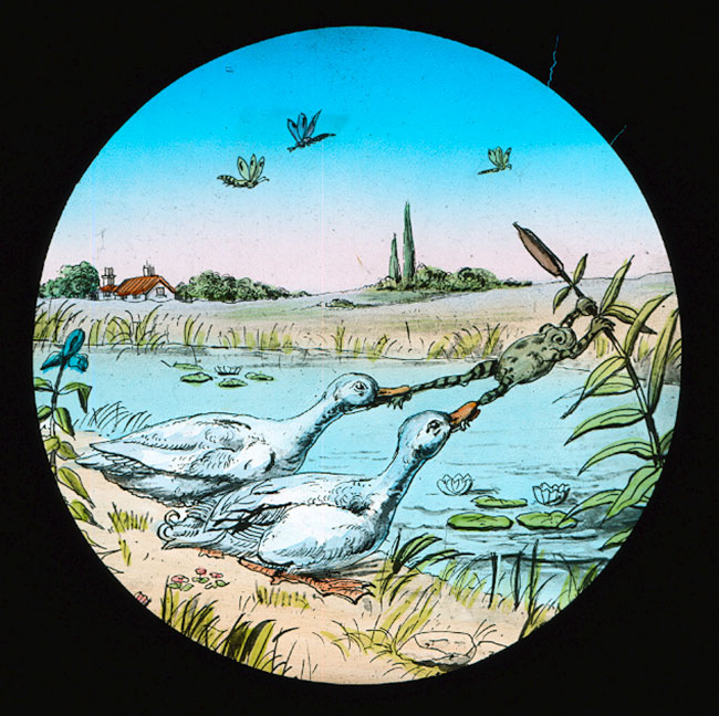 The Elephants Revenge