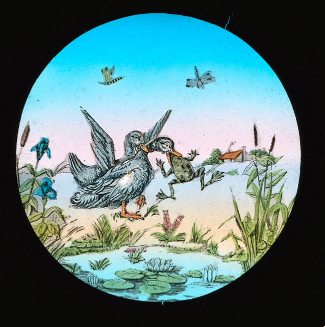 The Elephants Revenge