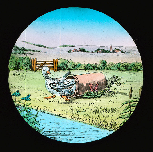 The Elephants Revenge