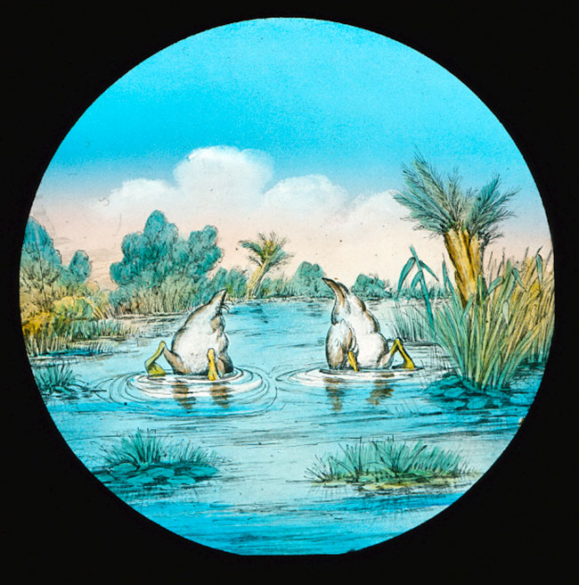 The Elephants Revenge