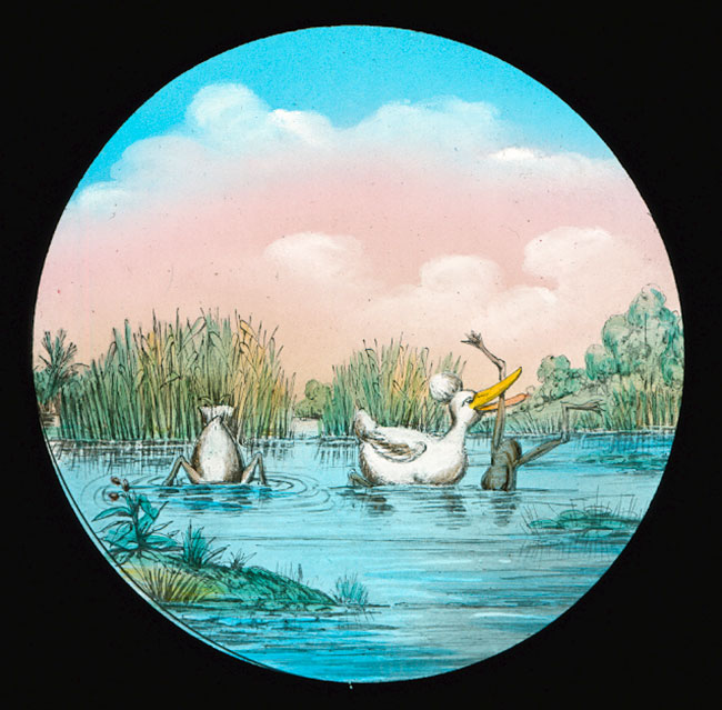 The Elephants Revenge