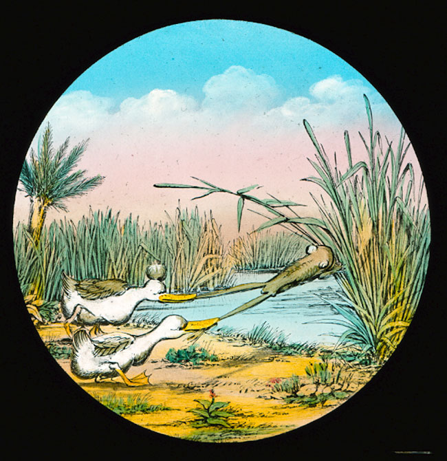 The Elephants Revenge