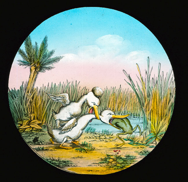 The Elephants Revenge