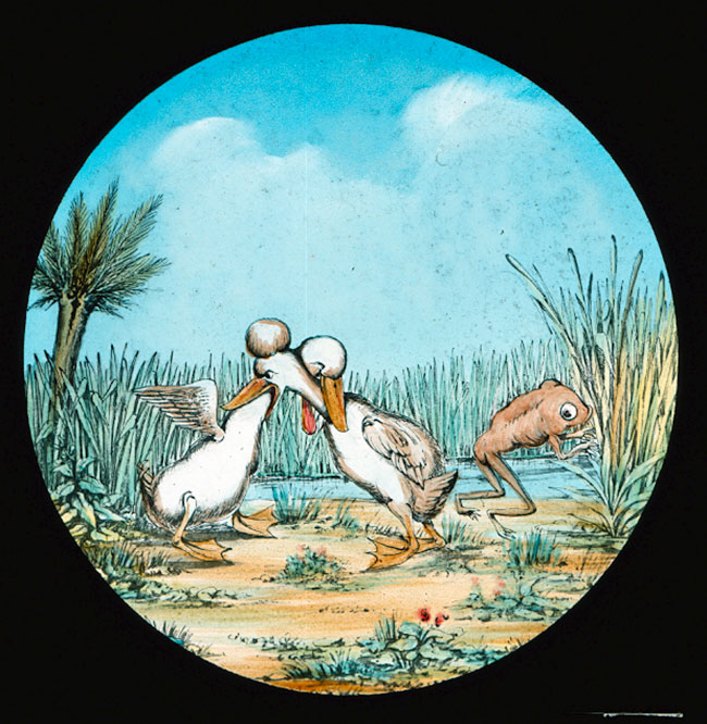 The Elephants Revenge