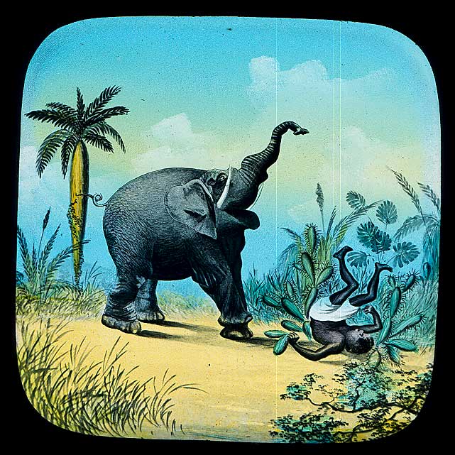 The Elephants Revenge