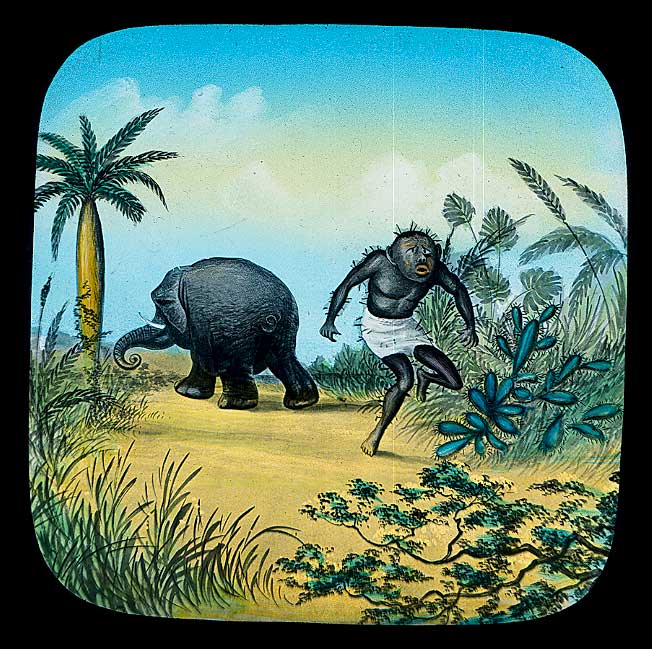 The Elephants Revenge