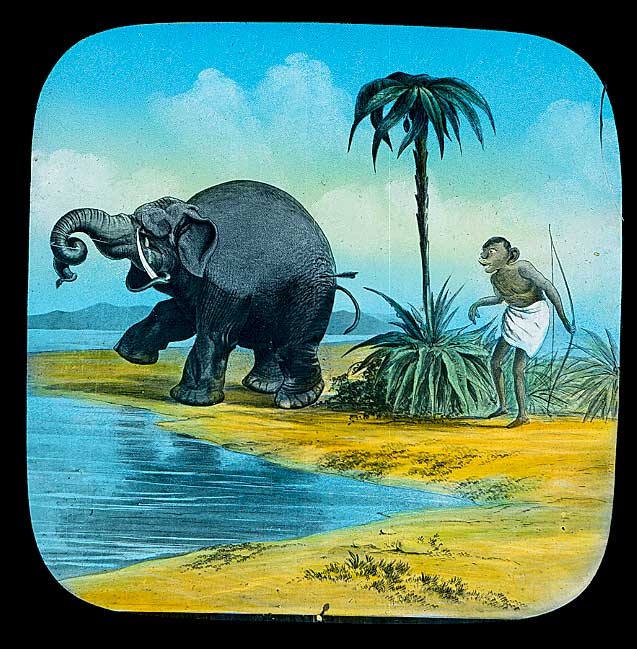 The Elephants Revenge