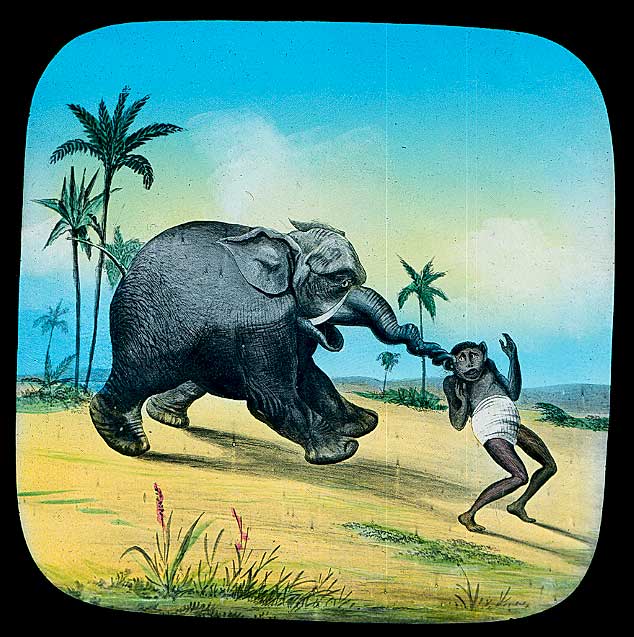 The Elephants Revenge