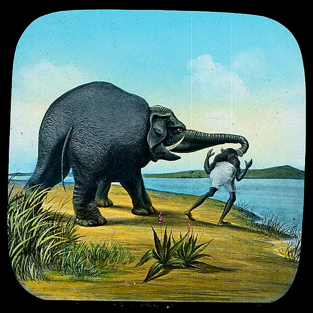 The Elephants Revenge