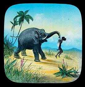 Elephants Revenge Slide