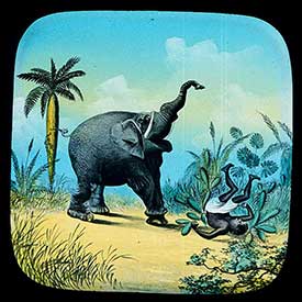Elephants Revenge Slide