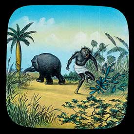 Elephants Revenge Slide