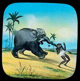 Elephants Revenge Slide