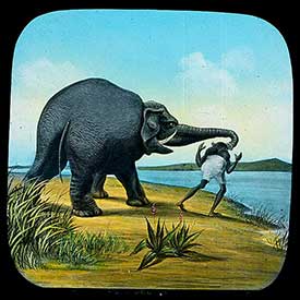 Elephants Revenge Slide