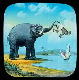 Elephants Revenge Slide