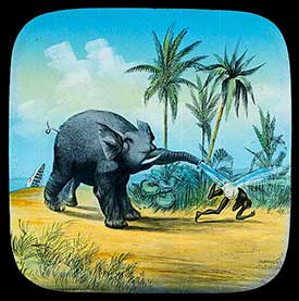 Elephants Revenge Slide