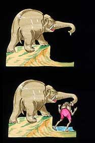 Elephants Revenge Slide