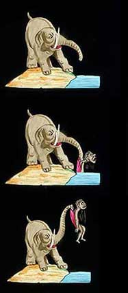 Elephants Revenge Slide