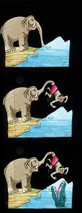 Elephants Revenge Slide