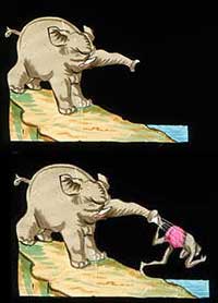 Elephants Revenge Slide