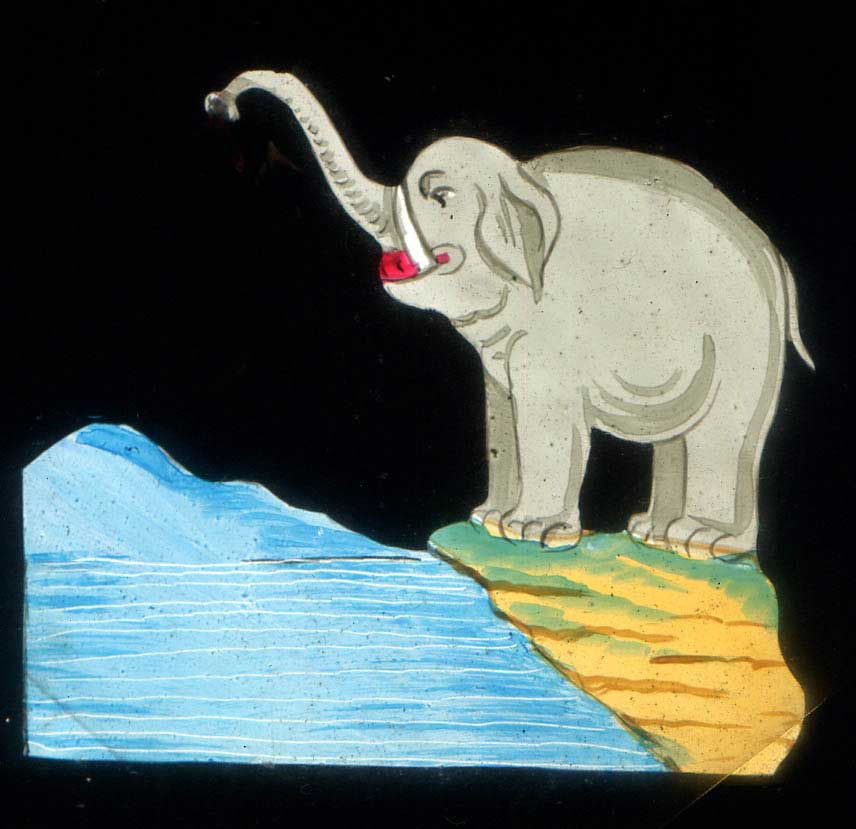 The Elephants Revenge