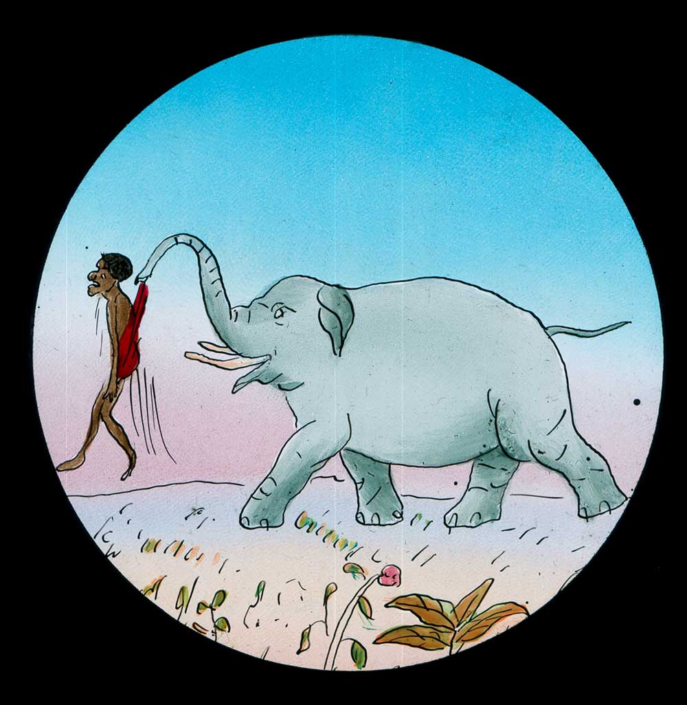 The Elephants Revenge