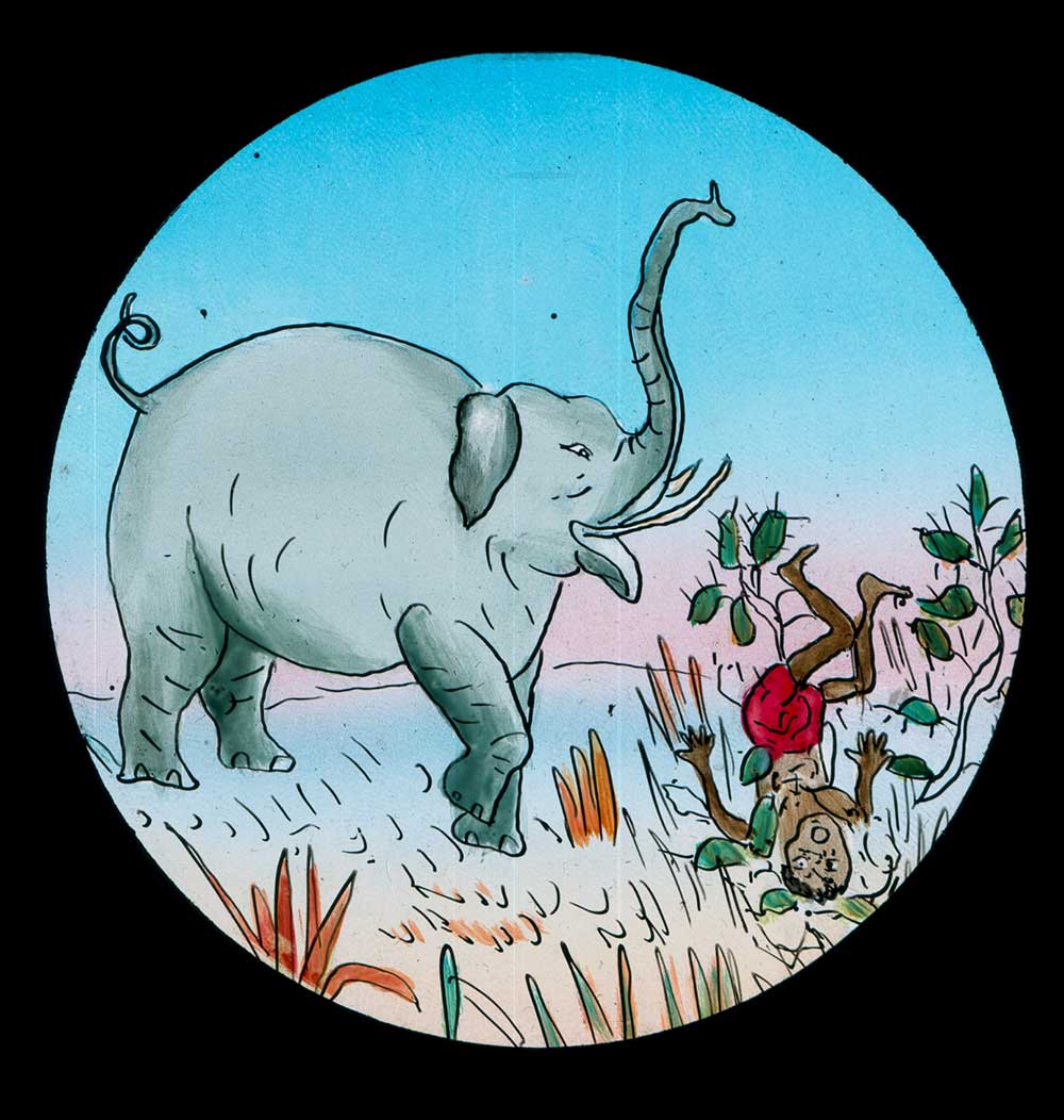 The Elephants Revenge
