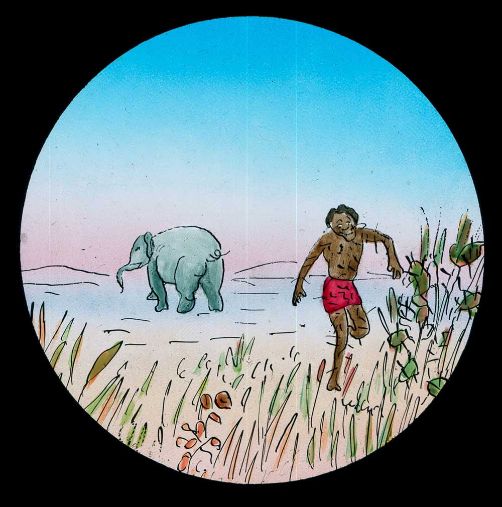 The Elephants Revenge