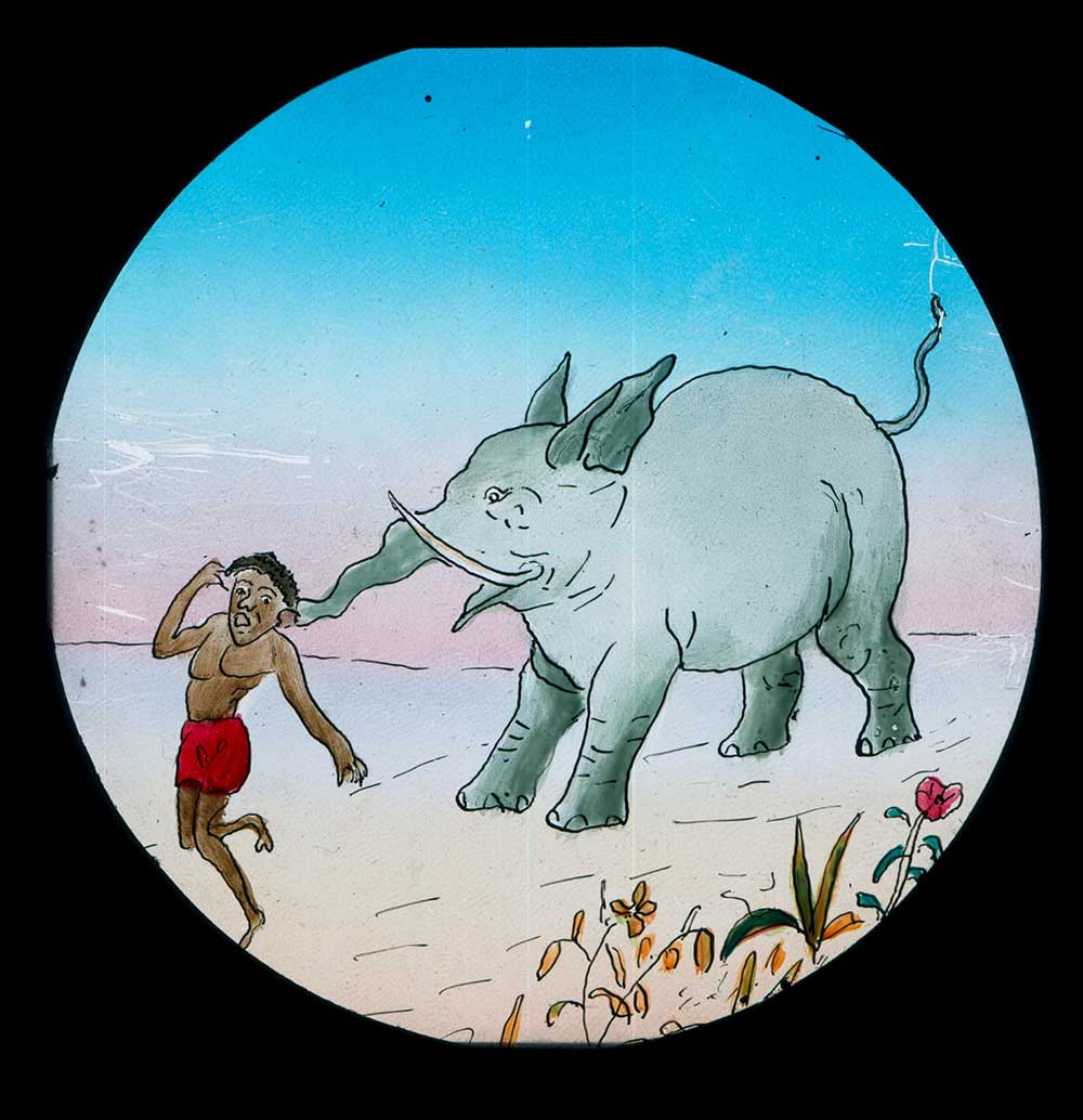 The Elephants Revenge