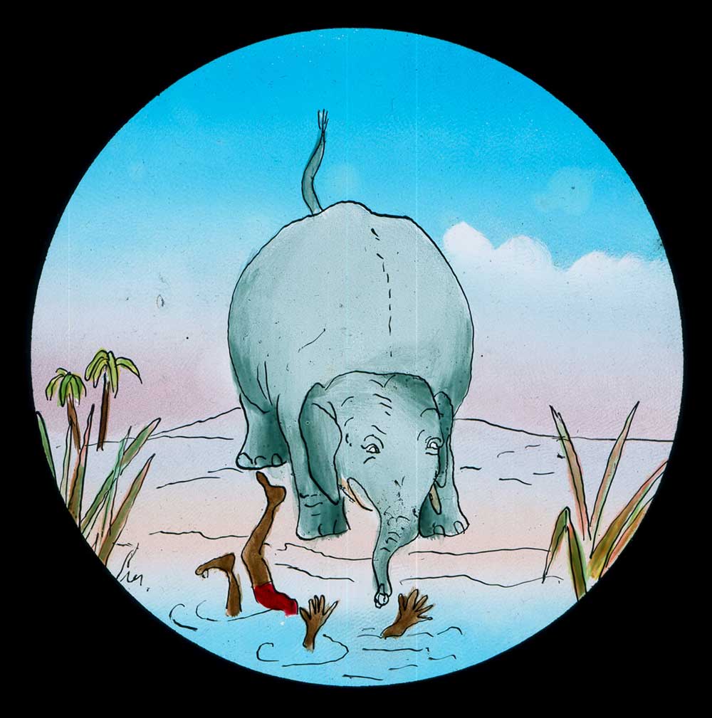 The Elephants Revenge