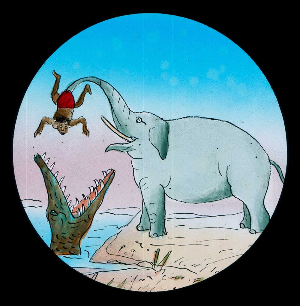 The Elephants Revenge