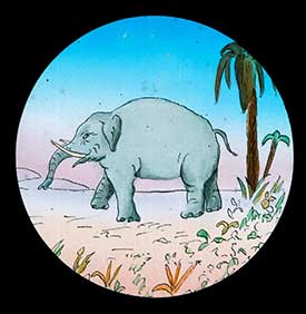 Elephants Revenge Slide